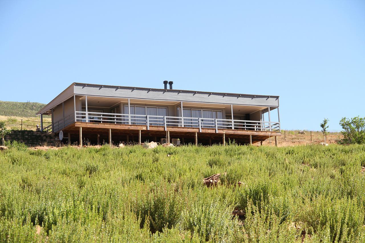 Big Sky Cottages Wolseley Exteriör bild